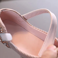 Ballet Blossoms Shoes - Pink