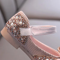 Ballet Blossoms Shoes - Pink