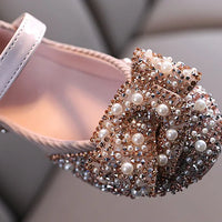 Ballet Blossoms Shoes - Pink