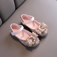 Ballet Blossoms Shoes - Pink